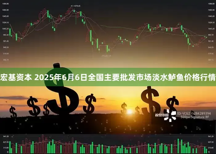 宏基资本 2025年6月6日全国主要批发市场淡水鲈鱼价格行情