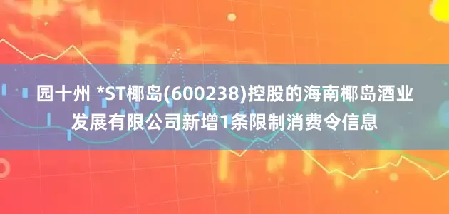 园十州 *ST椰岛(600238)控股的海南椰岛酒业发展有限公司新增1条限制消费令信息